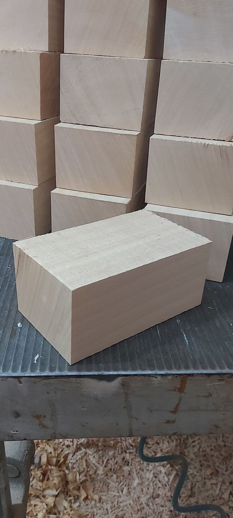 AYOUS AĞACI- 6.5X10X16