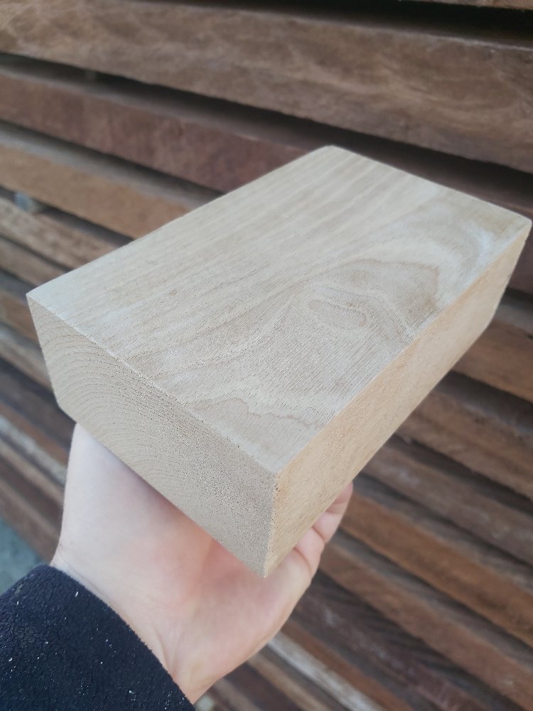 KESTANE AĞACI  - 5.5x10x16