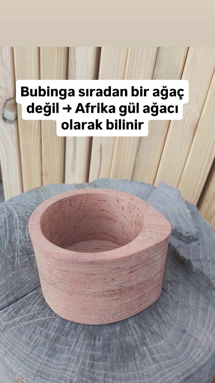 Gül ağacı 'Bubinga' taslak : 8x9x10