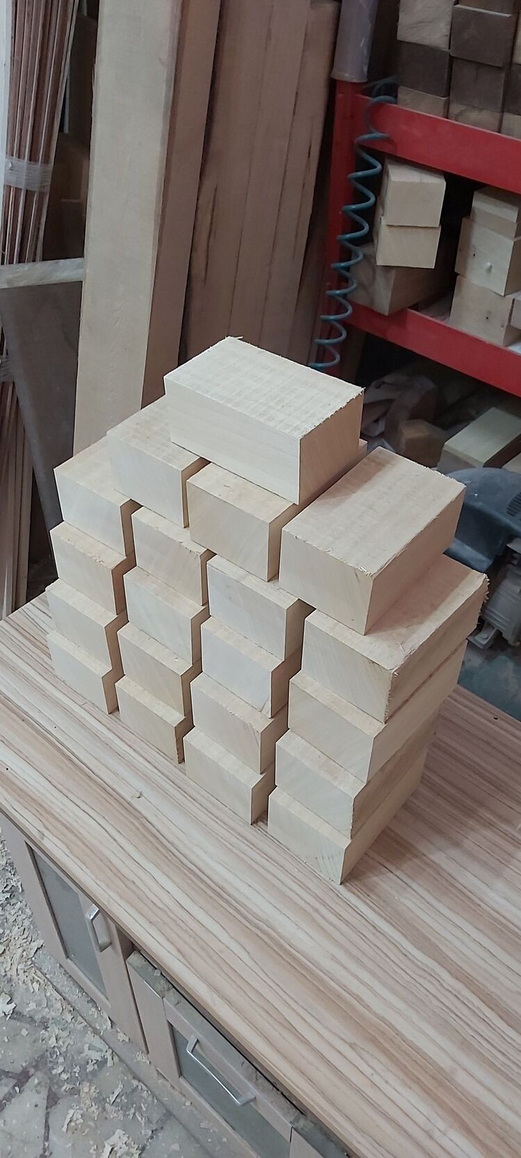 AYOUS AĞACI- 6.5X10X16