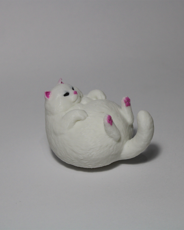 Chubby Cat