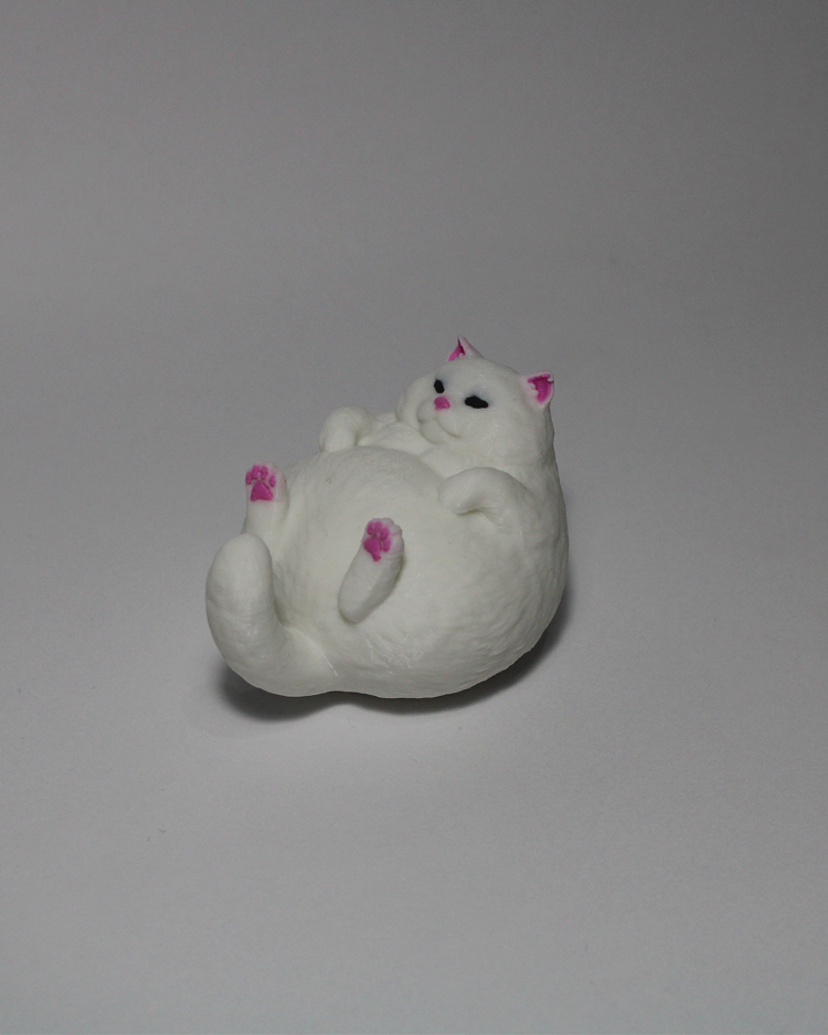 Chubby Cat