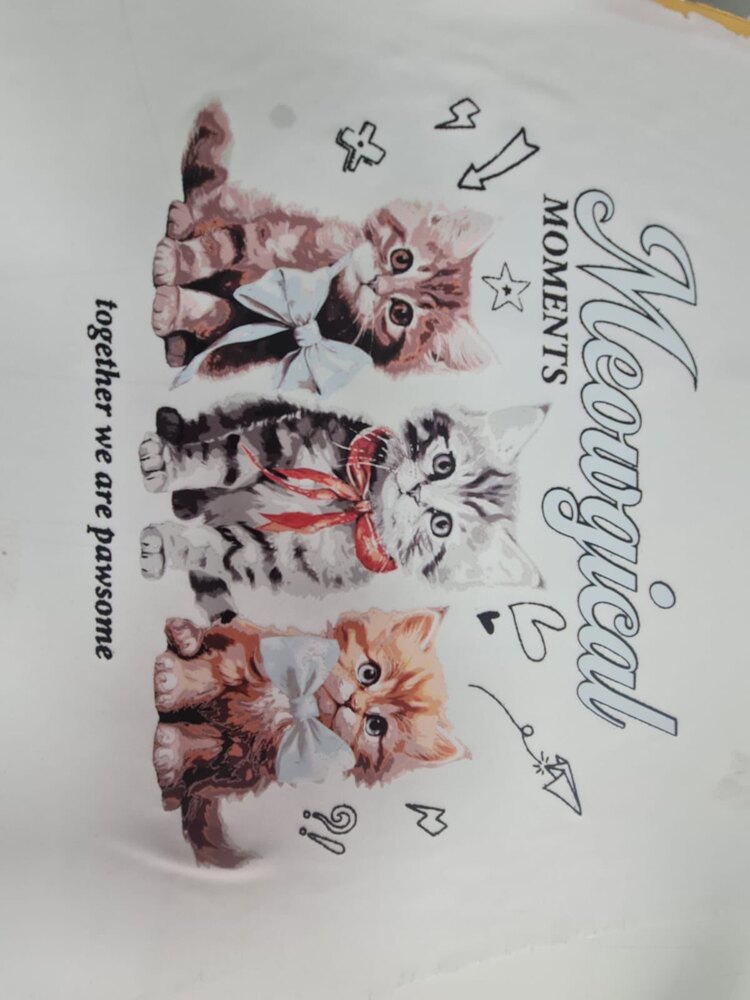 25 Li paket büyük boy kedi