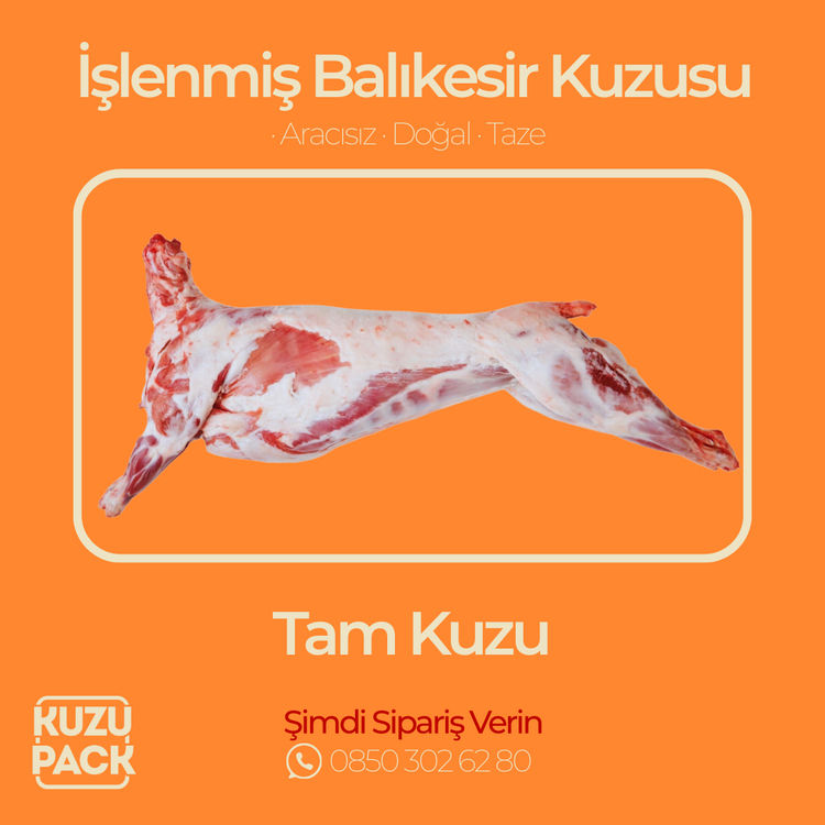 İşlenmiş Kıvırcık Kuzu - Tam Kuzu