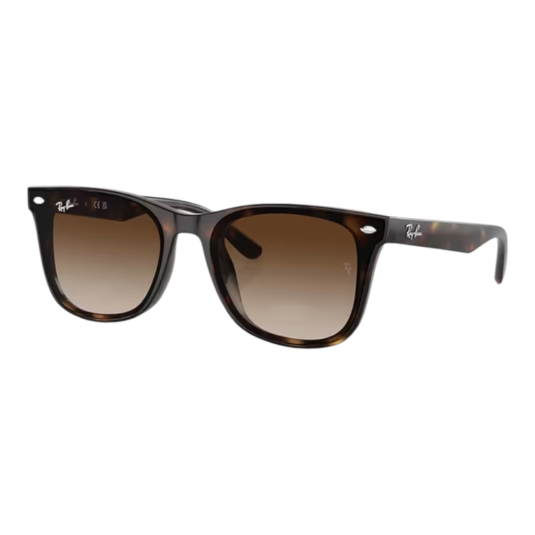 RAYBAN RB4420