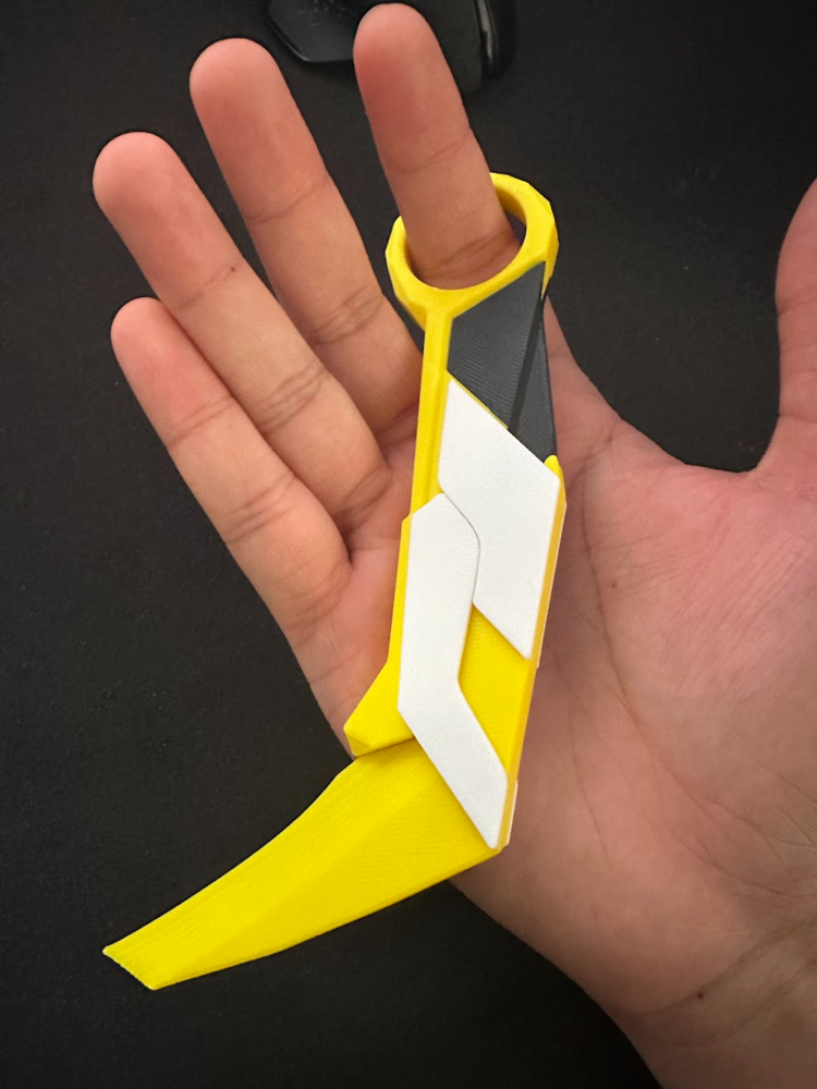 ️ Valorant Asil Karambit