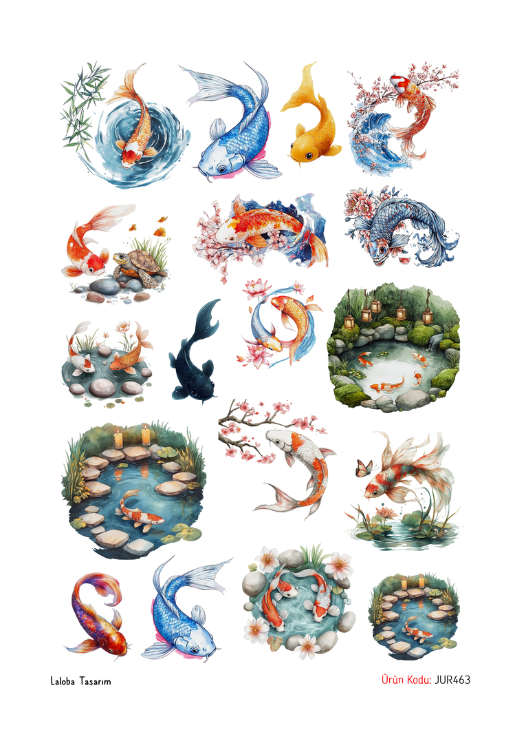 Koi fish