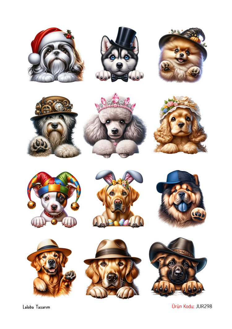Şapkalı Köpekler