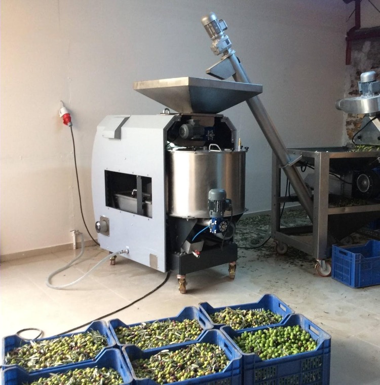 La Mia Oliva | Erken Hasat Soğuk Sıkım Naturel Sızma Zeytinyağı - 2 Litre (2025-2026 Hasadı)