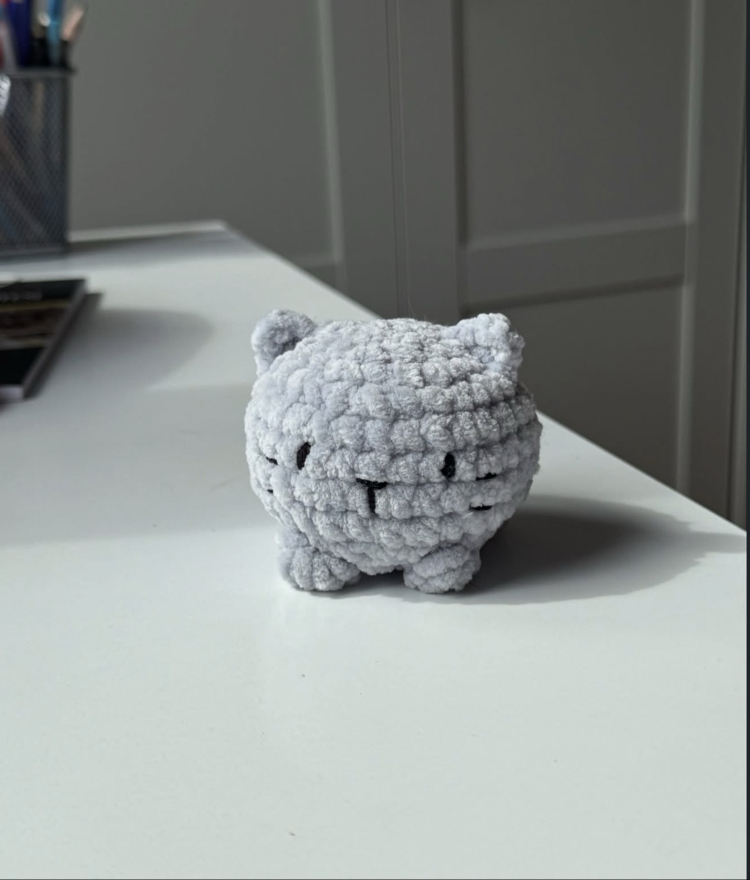 Minik Kedi