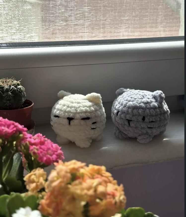 Minik Kedi