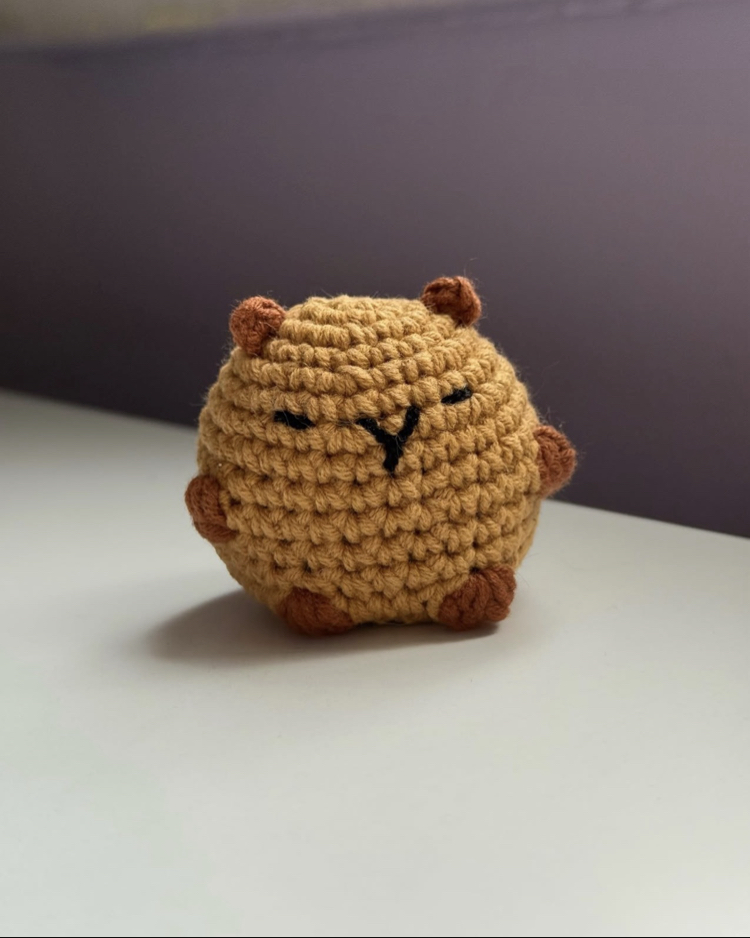 Capybara