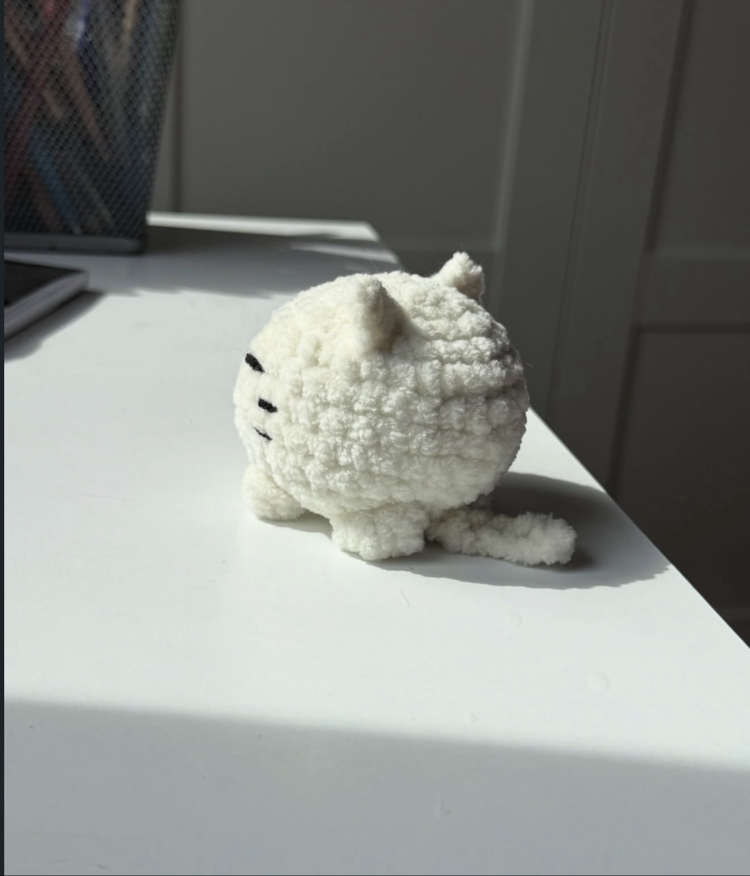 Minik Kedi