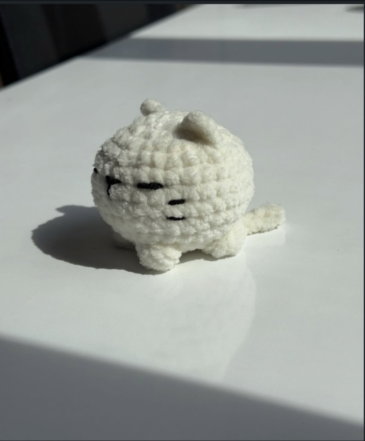 Minik Kedi