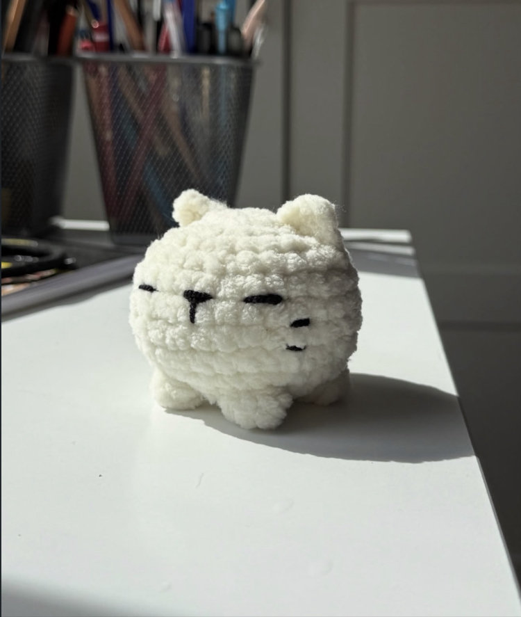 Minik Kedi