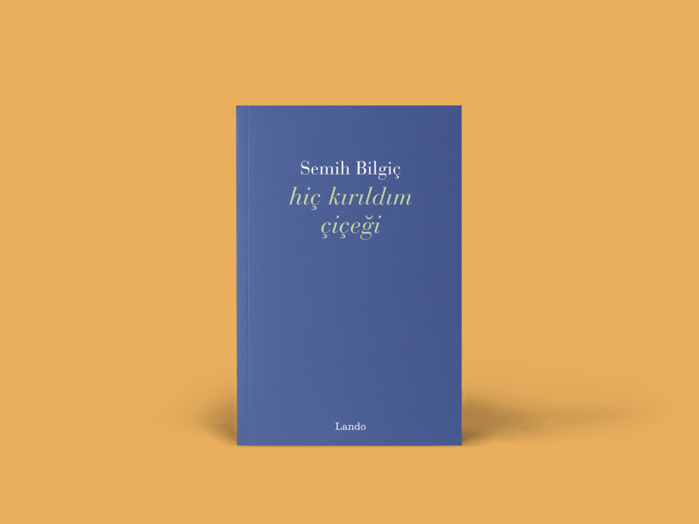 Semih Bilgiç - Hiç Kırıldım Çiçeği 