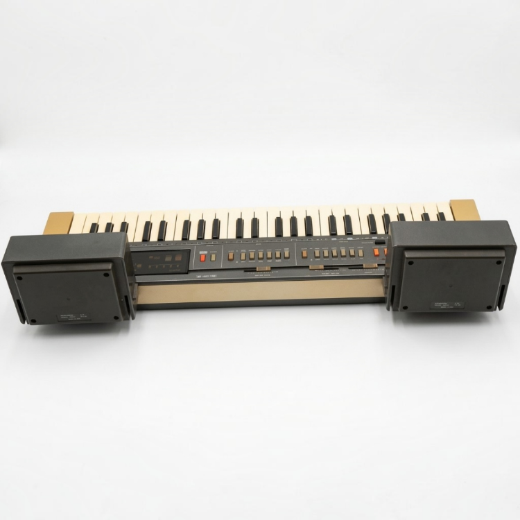 CASIO Casiotone MT-800