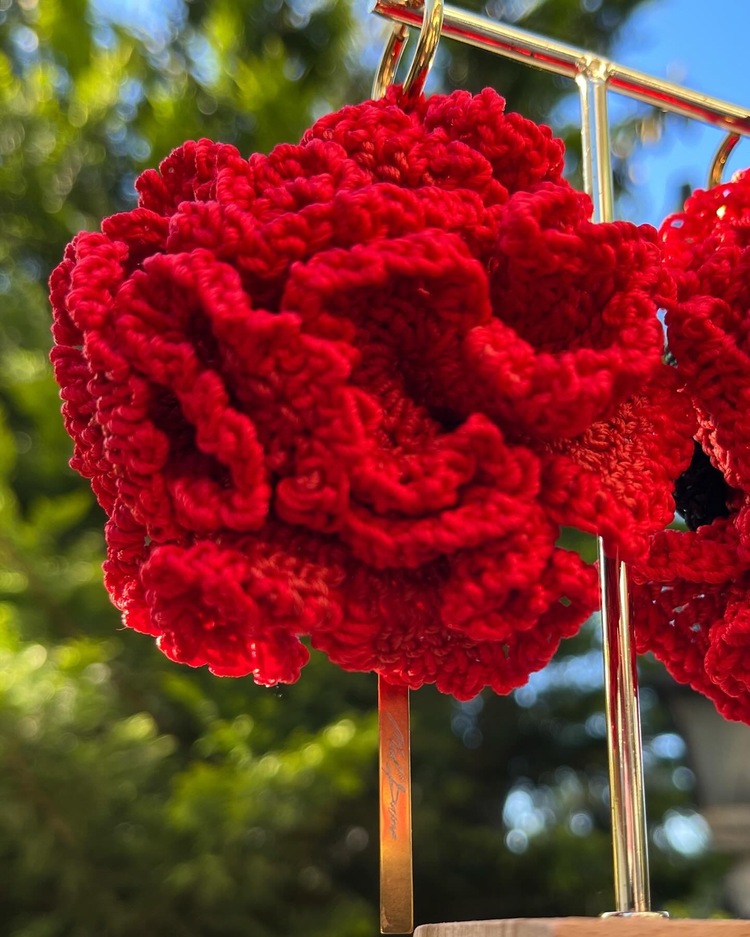 Carnation