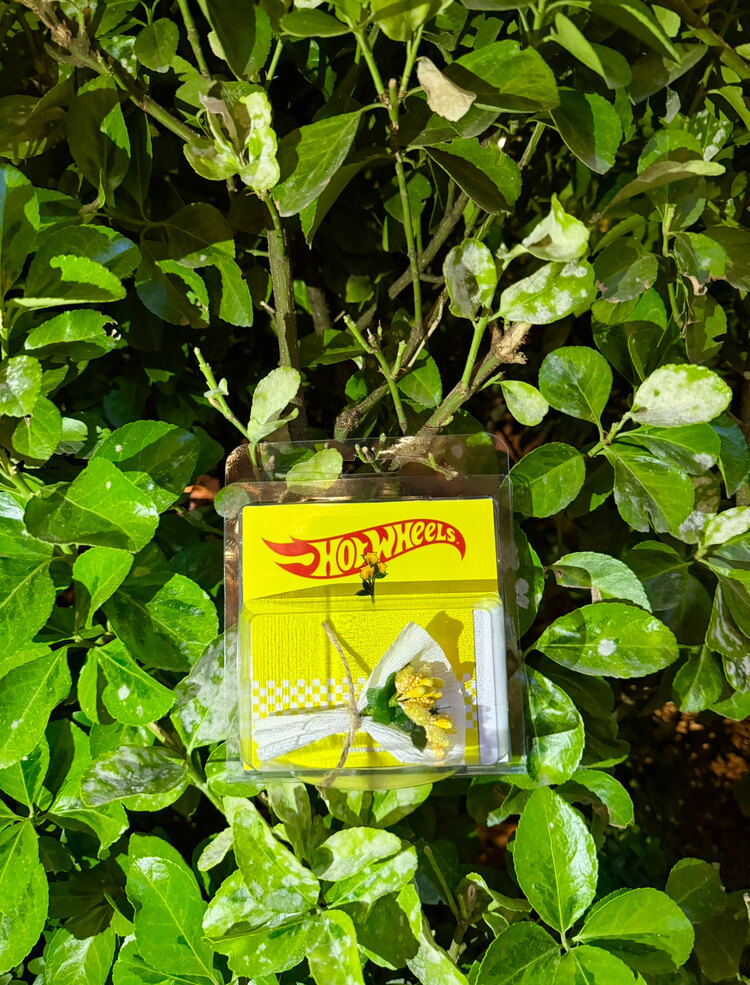 HOT WHEELS Cipso Tasarım (Sarı)