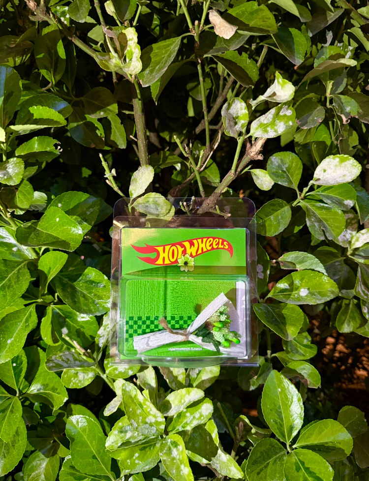 HOT WHEELS Cipso Tasarım (Yeşil)