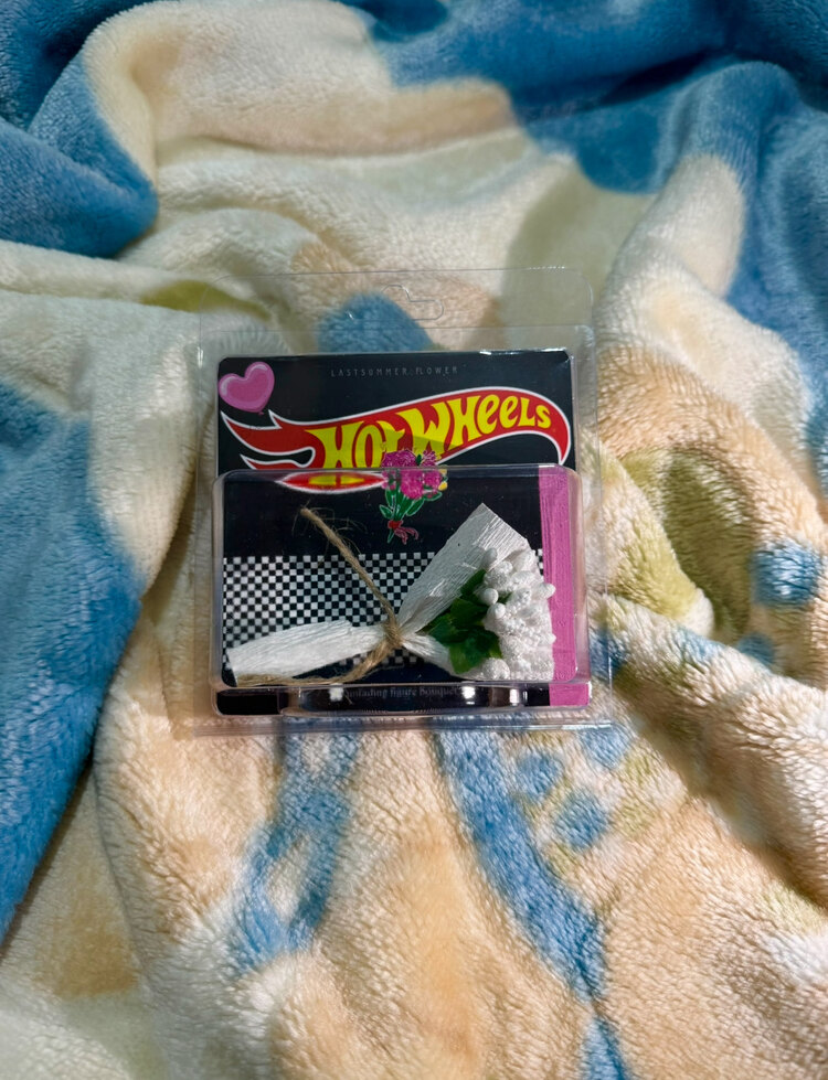 HOT WHEELS Cipso Tasarım Model 1