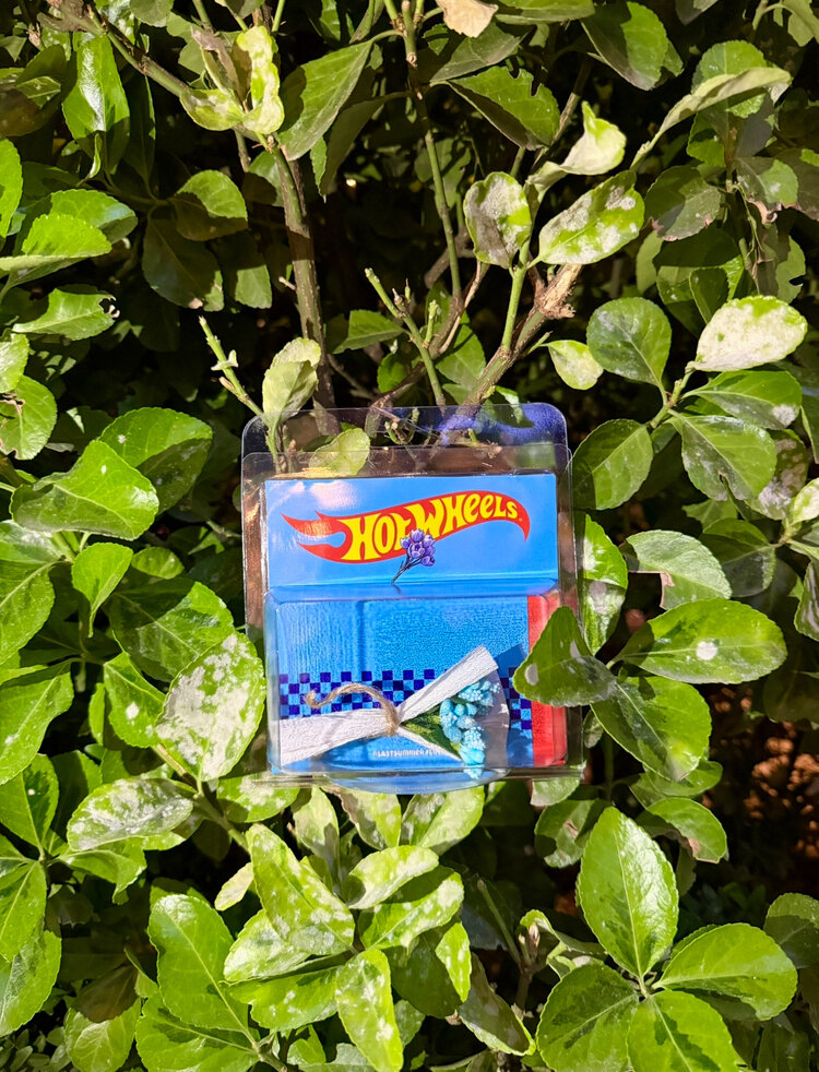 HOT WHEELS Cipso Tasarım (Mavi)