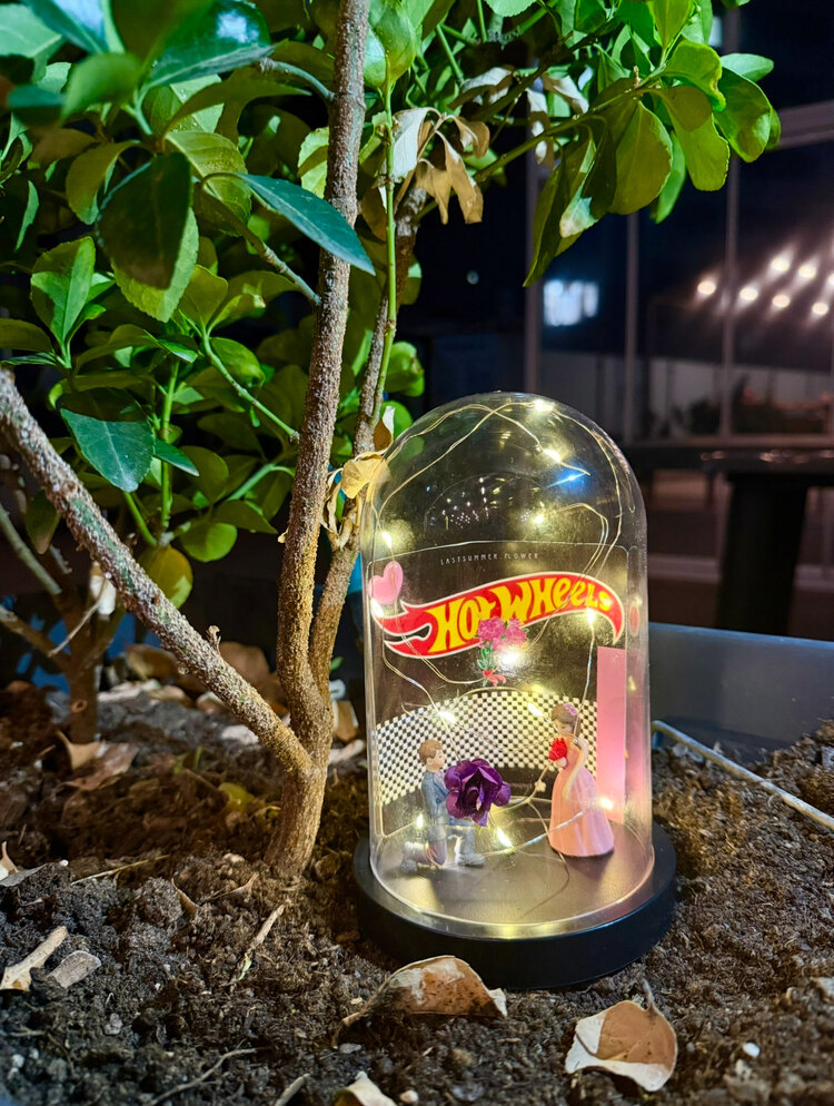 Ledli Mor Solmayan HotWheels Fanus