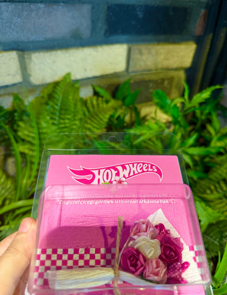 Aynalı HotWheels 