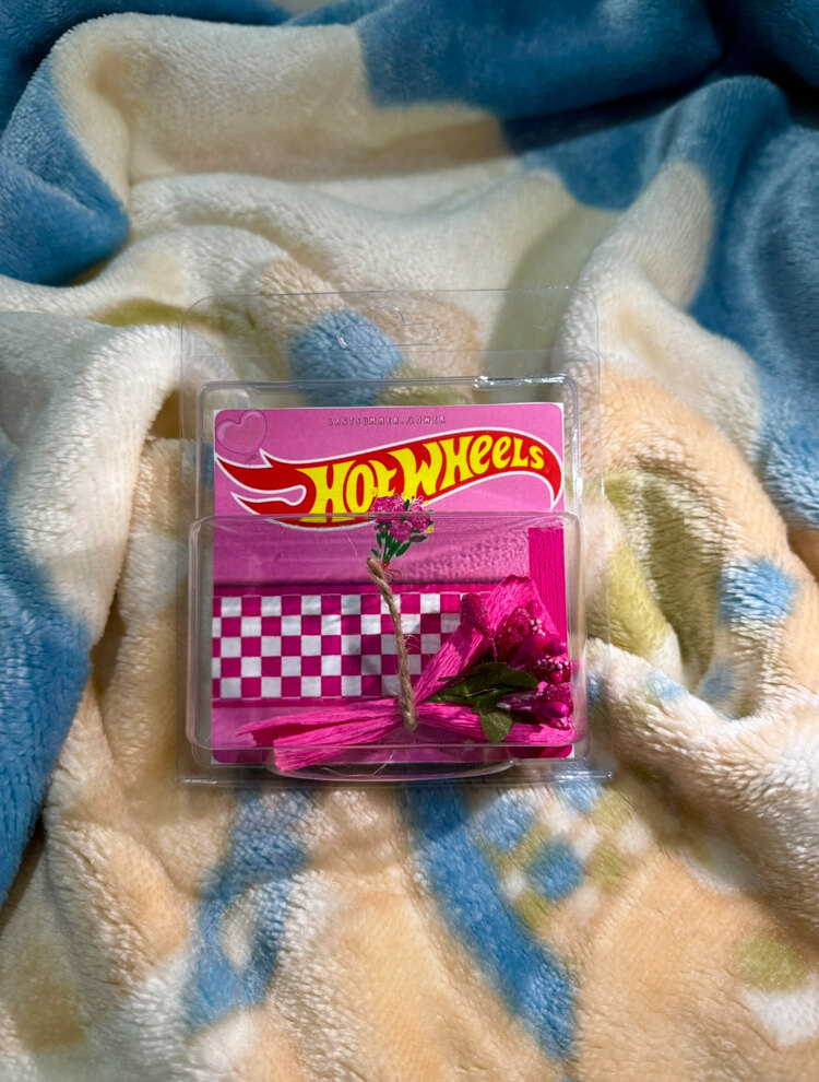 HOT WHEELS Cipso Tasarım Model 2