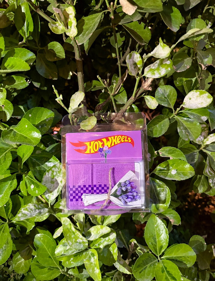 HOT WHEELS Cipso Tasarım (Mor)