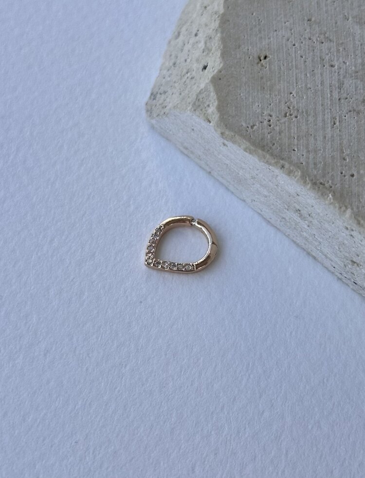 Özel Seri | Aldrich Piercing