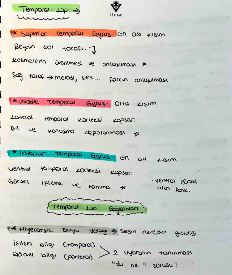 Fizyolojik Psikoloji Final notları