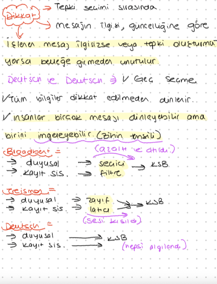 Bilişsel Final Notları