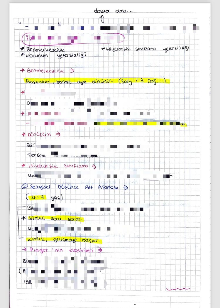 Gelişim Psikolojisi Final konuları
