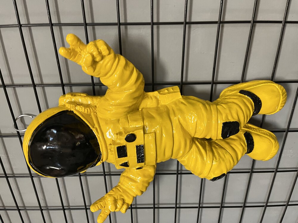 SARI ASTRONOT