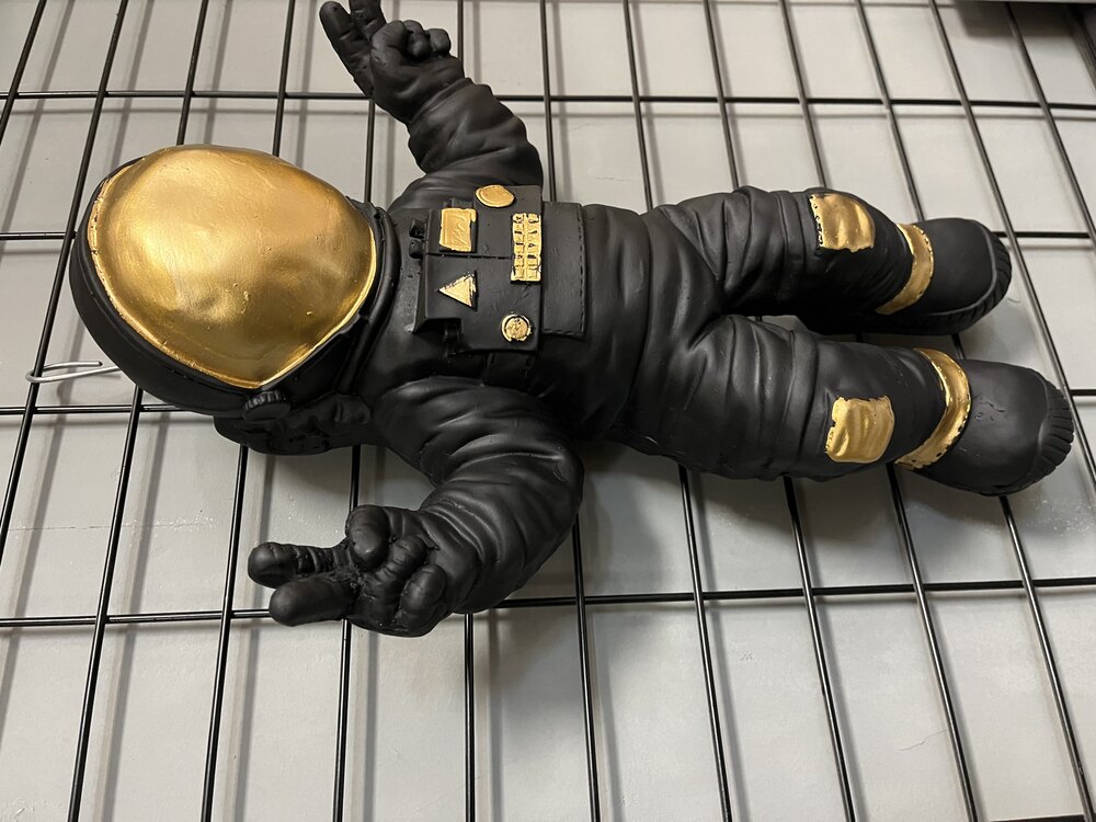 SİYAH ASTRONOT