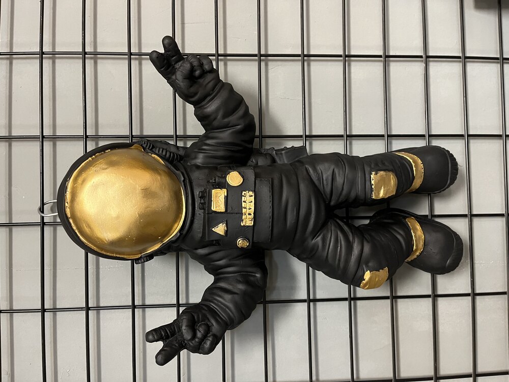 SİYAH ASTRONOT