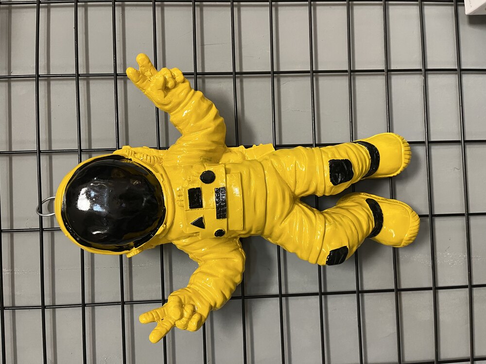 SARI ASTRONOT