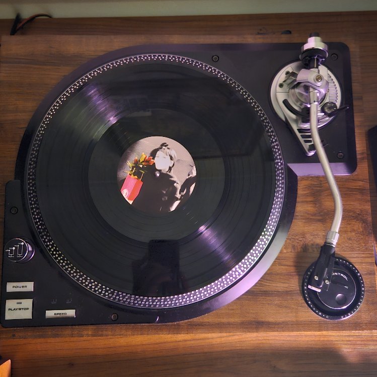 Viva La Luna - The Last of Me (Limited Edition LP)