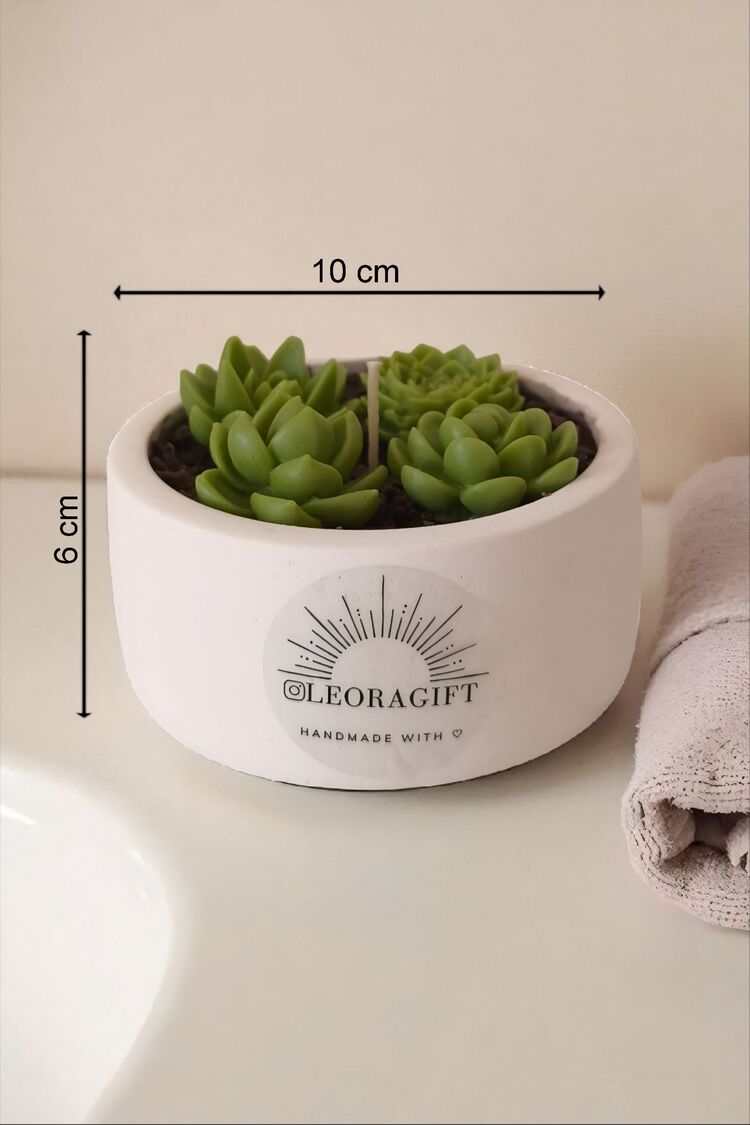 sukulent soy wax mum