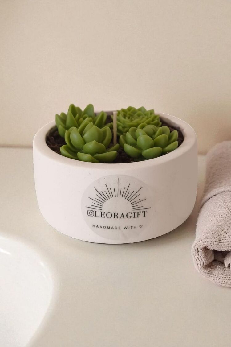 sukulent soy wax mum