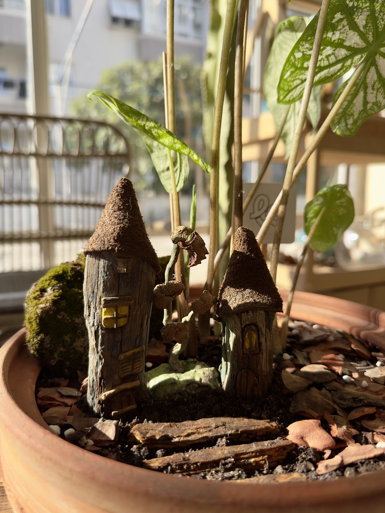 The Shire