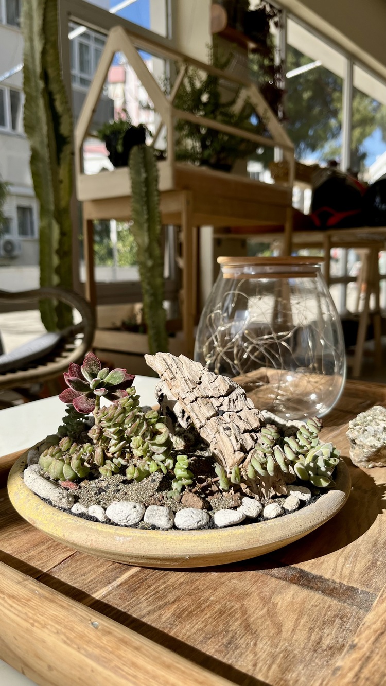 Phaselis