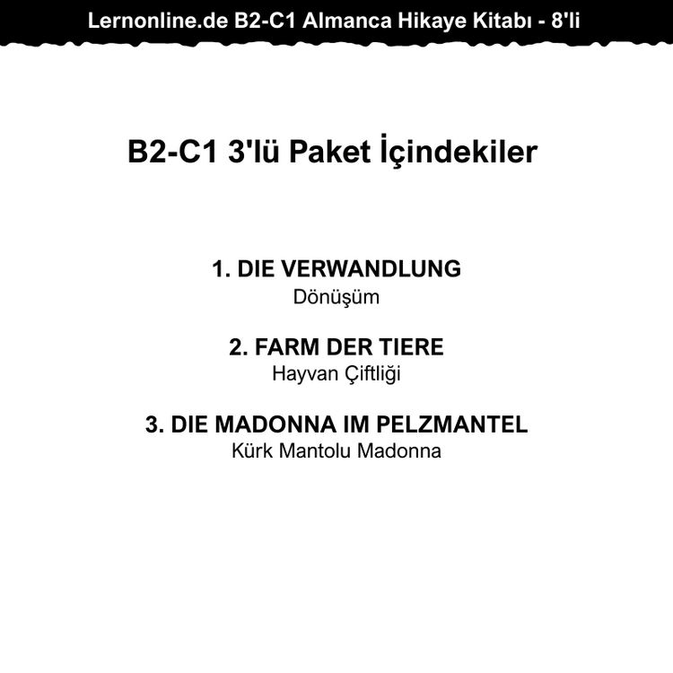 3'lü - Lernonline.de B2-C1 Almanca Hikaye Kitabı