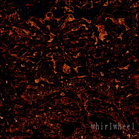 whirlwheel Poster