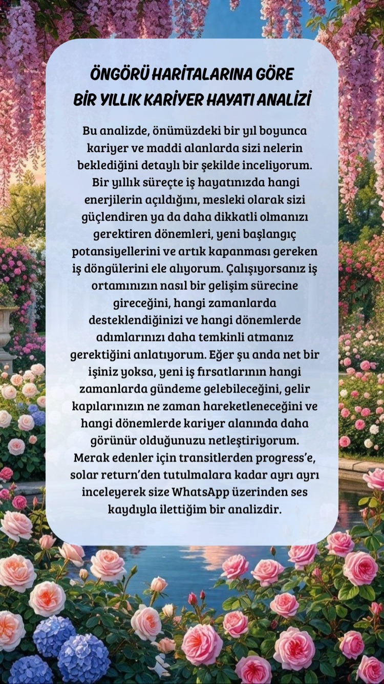 1 yıllık kariyer analizi