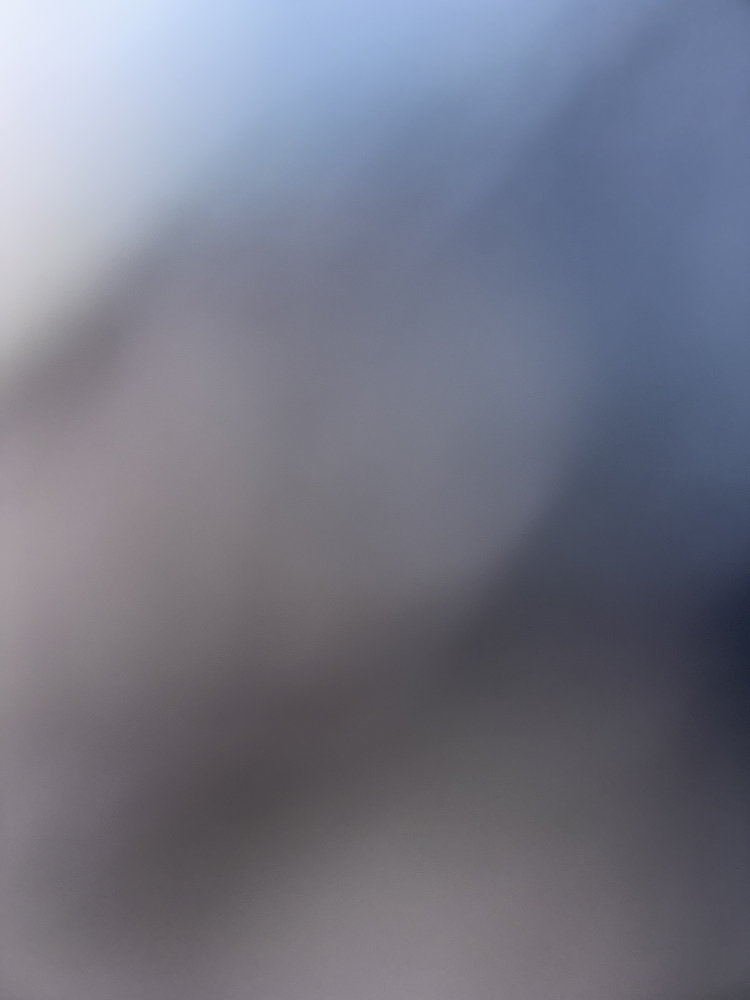 Sarı 3d çiçekli tül gömlek