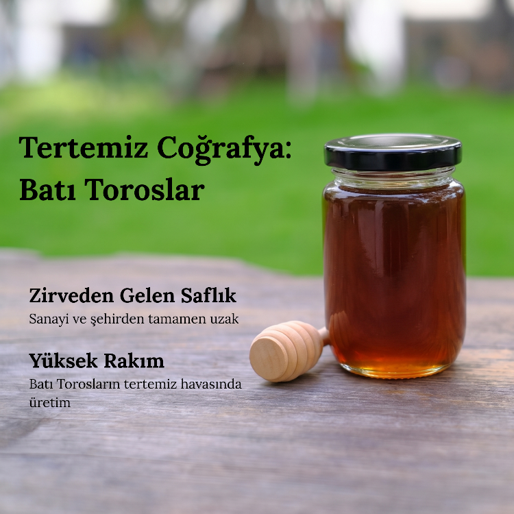 450 gr Süzme Kekik Balı - Antalya Toroslar Yüksek Yayla, Yeni Hasat Sınırlı Üretim