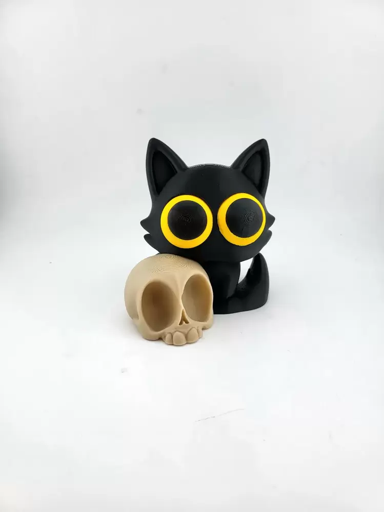 Kuru Kafa ve Kedi