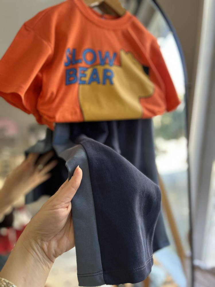Slow bear takım